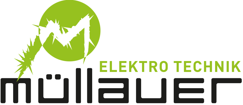 Die Elektroprofis